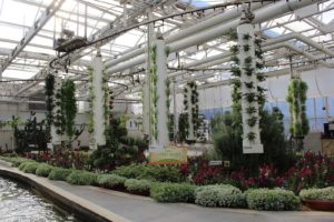 epcot living with the land greenhouse