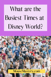 disney world crowds