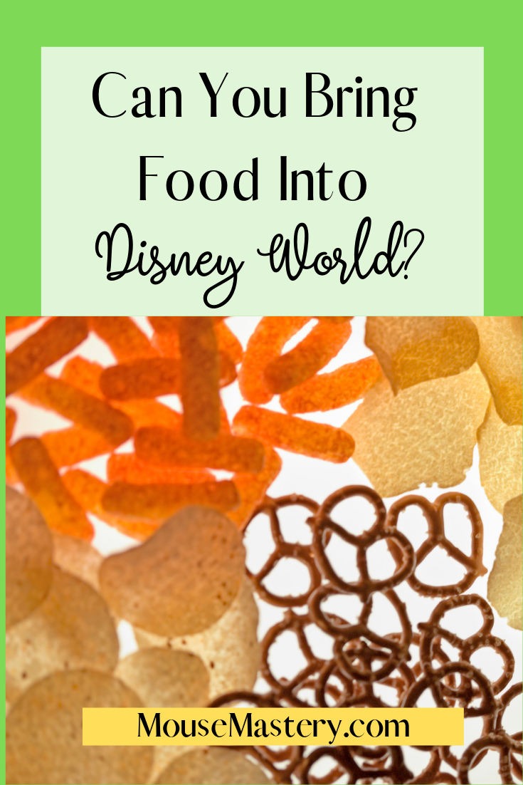 Can You Bring Food Into Disney World? Mouse Mastery